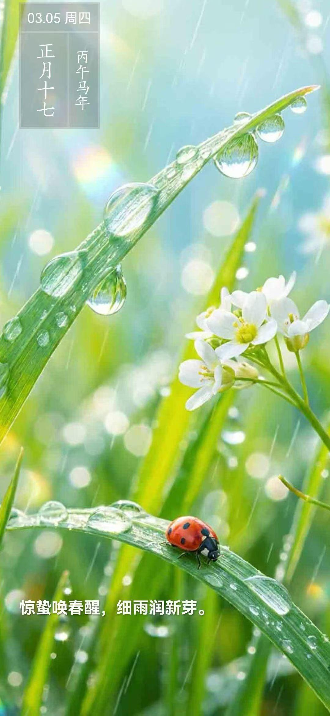 惊蛰习俗趣事与养生（五）。《黄帝内经》曰：“春三月，此谓发陈。天地俱生，万物以荣