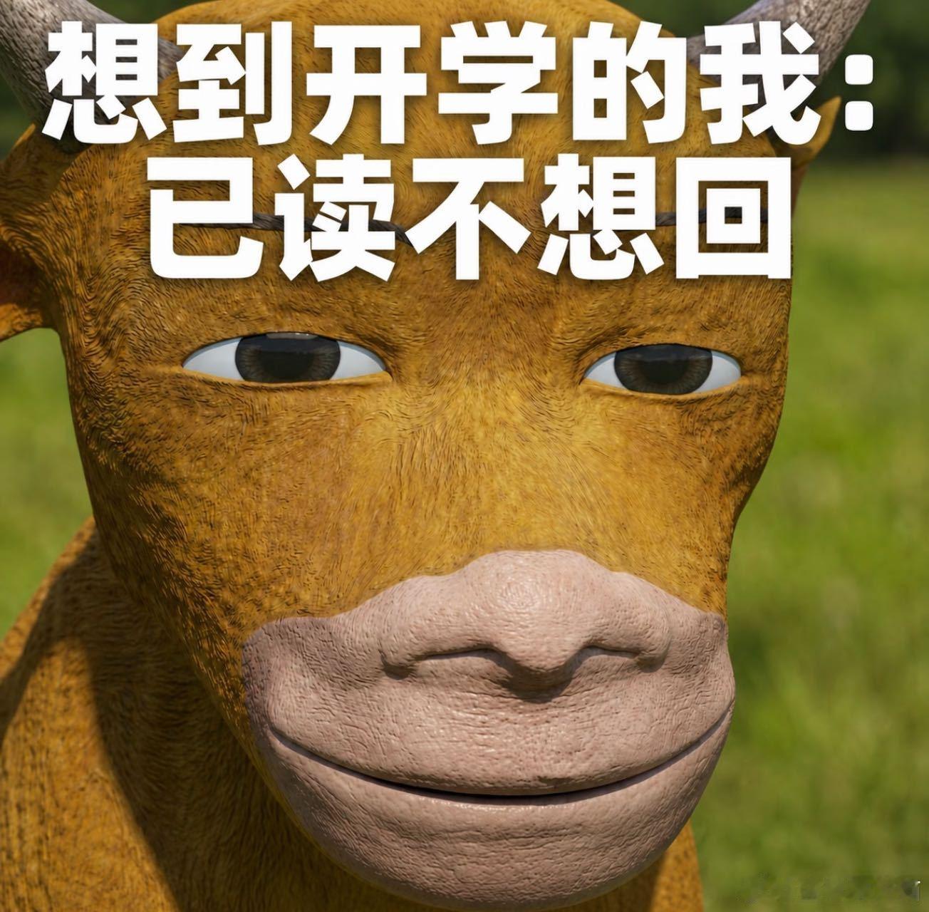 第一批新生家长已经在铺床了新生家长已经开始布置宿舍，才猛然发觉暑假落幕，多想要一