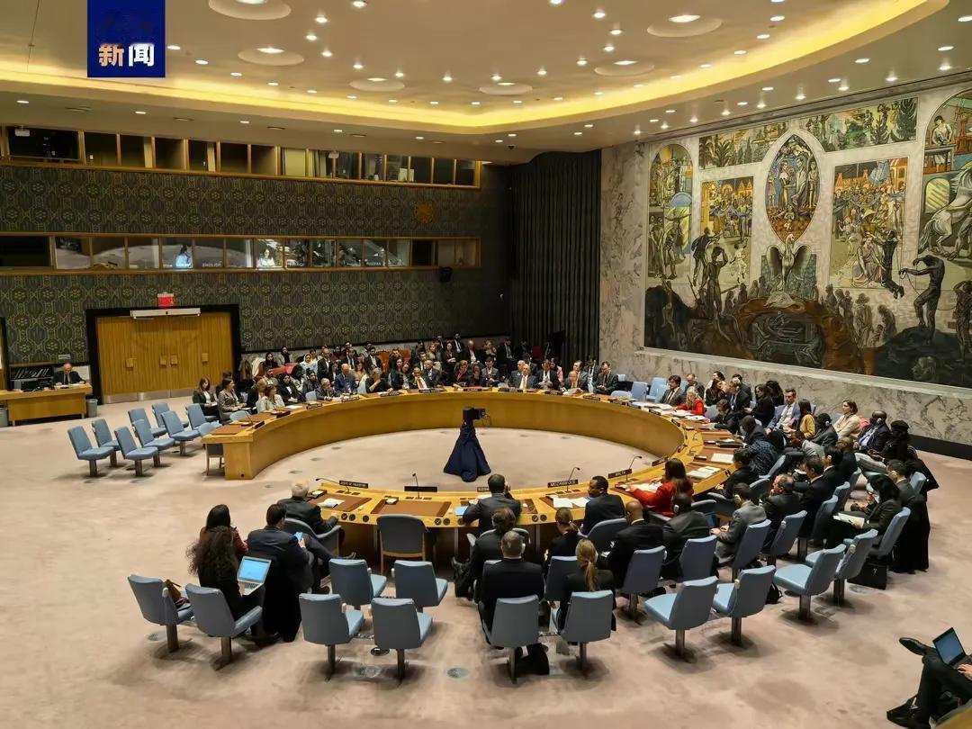 美国否决安理会巴以停火决议草案，多国对此表示失望。这一事件再次凸显了国际社会在解