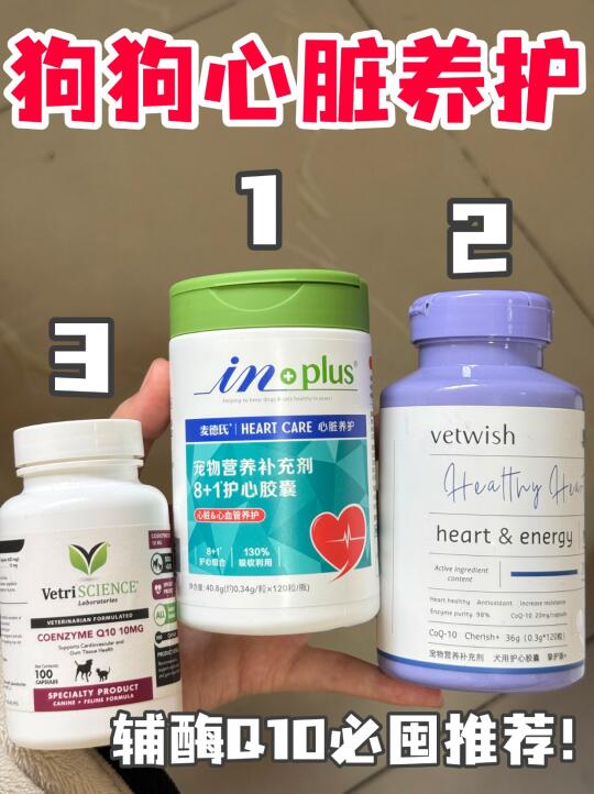 热门狗狗🐶辅酶q10，真实使用分享