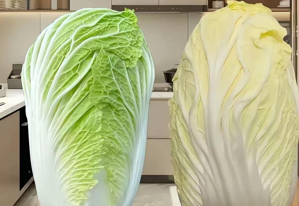 亲爱滴朋友，
您说哪颗白菜更好吃？
卖白菜的菜农说：黄色白菜是伏菜，绿色白菜才是