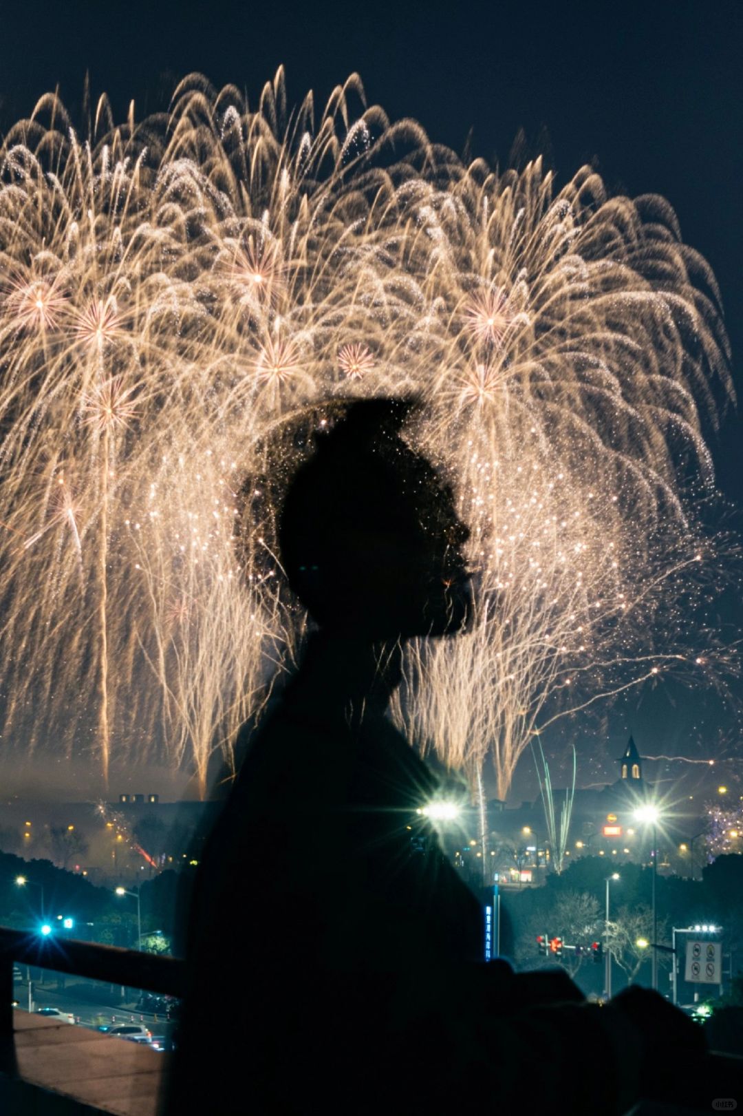 除夕夜我拍到了烟花🎆好运
