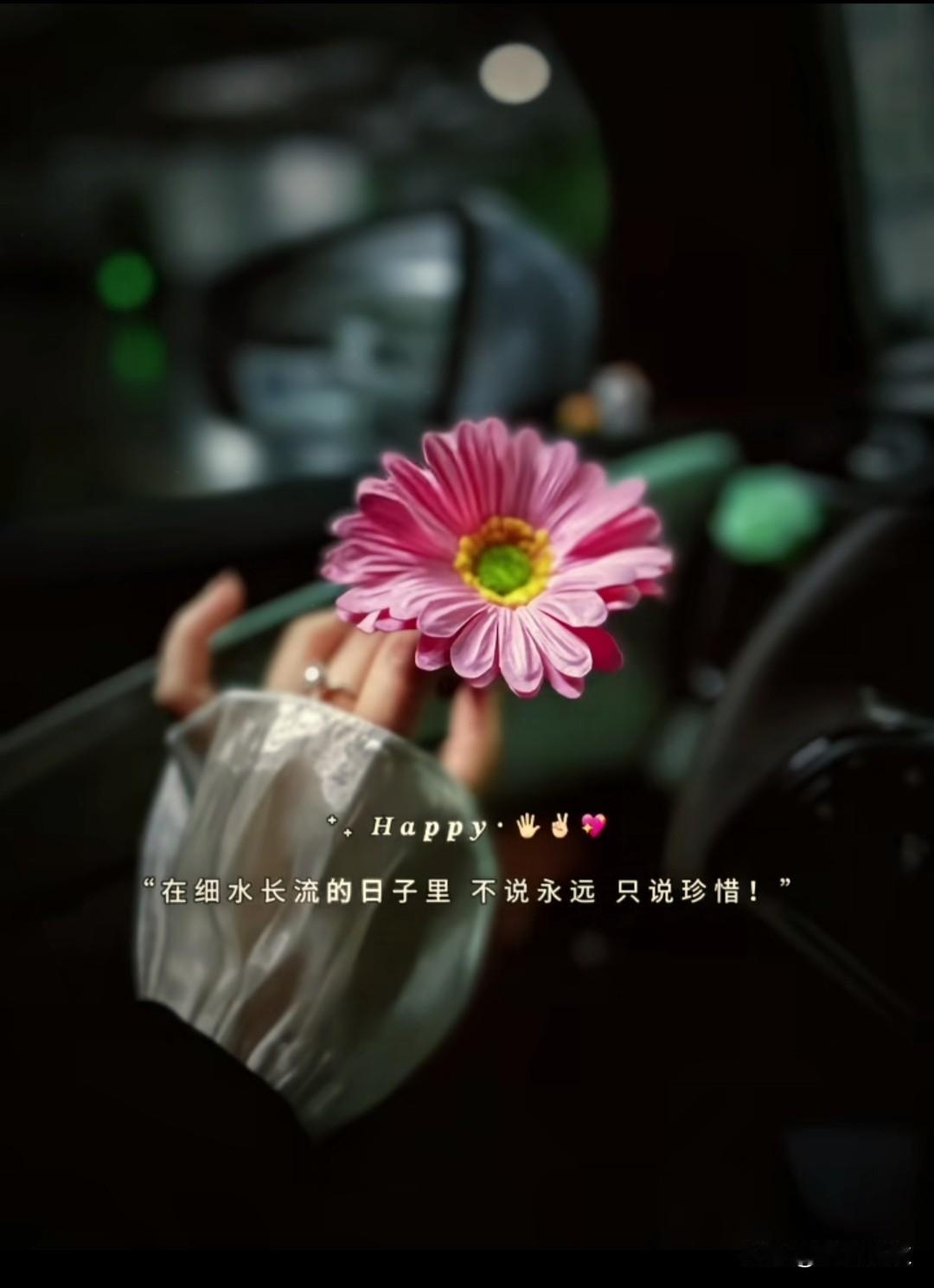 ᴳᴼᴼᴰ ᴹᴼᴿᴺᴵᴺᴳ

偶尔，留点时间，
在自己喜欢的状态里，努力，松弛，尽