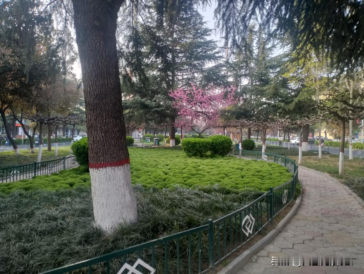 终于熬到周五，走路都觉得轻快！
没什么特别的，就是松了口气，马上周末能休息调整一