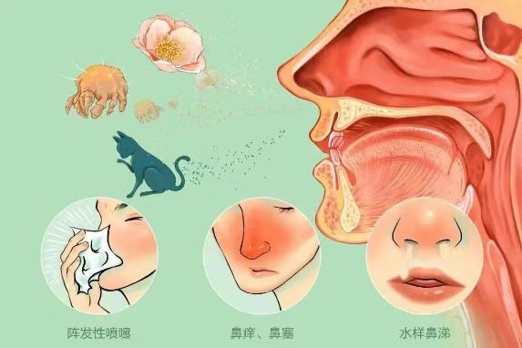趁三伏天，把肺里的寒气“轰出去”，孩子鼻炎少折腾，一天比一天通畅
 
马上就要入
