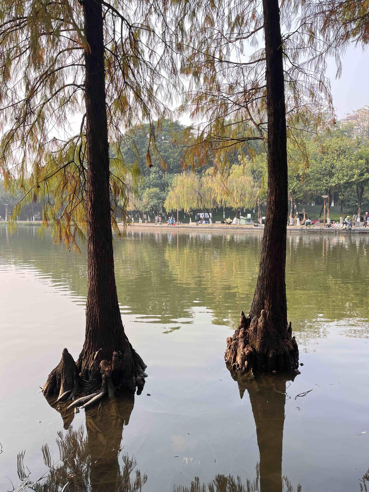 亲子之间最扫兴的9句话

1. 再闹妈妈生气了。
2. 你看看人家孩子。
3. 