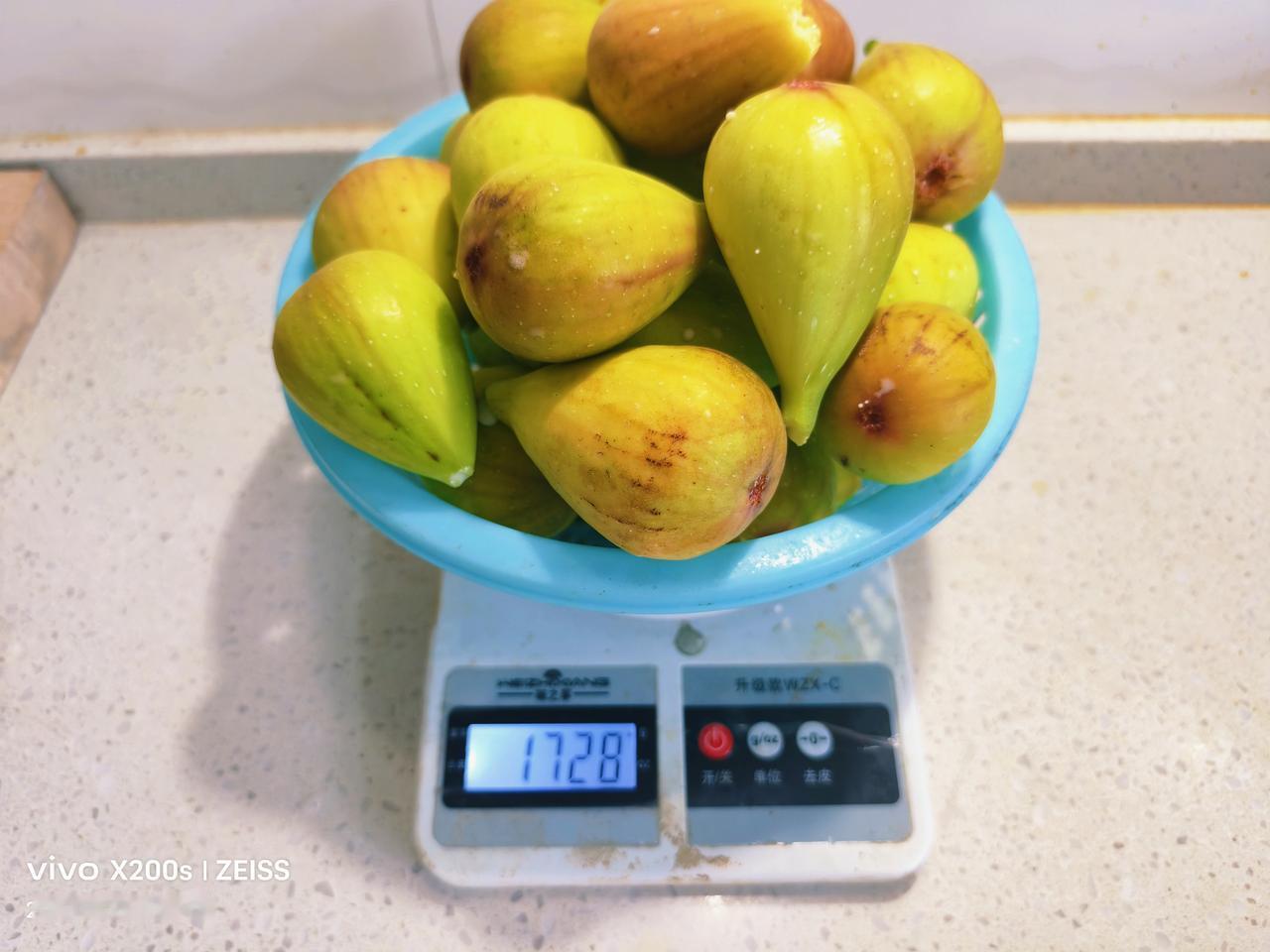 和谐共生
         我可爱的孙女夏天最爱吃的水果之一，就是无花果。
  