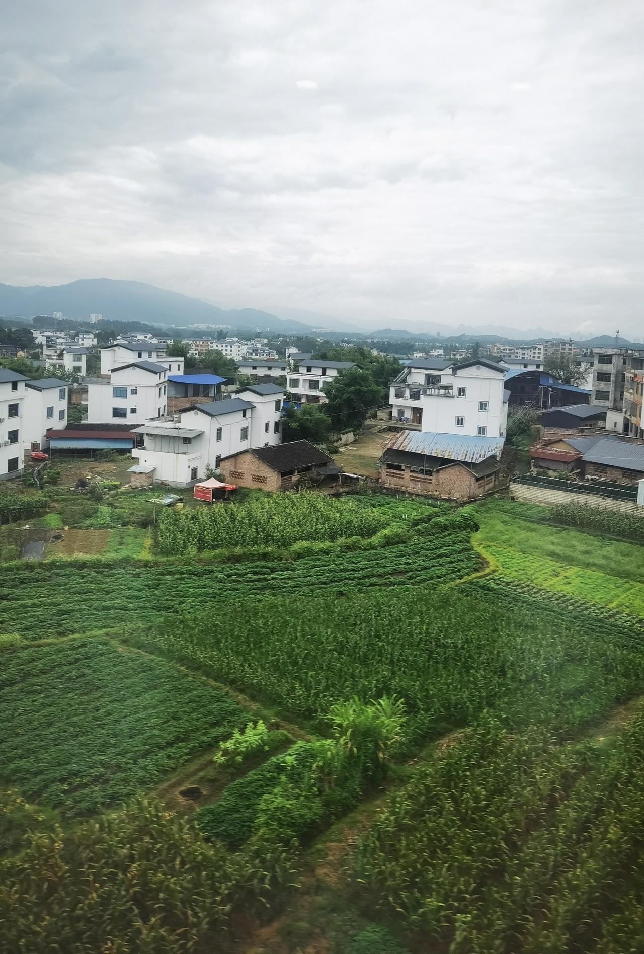 老人的尊严：独立自主的生活
乡下有个李大爷，多年前在村里的小学当过几年民办老师，
