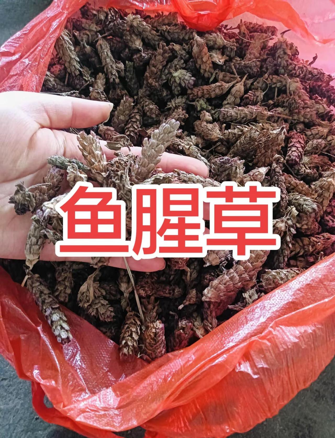 全程手心冒汗！伦敦世乒赛中韩女团大战，孙颖莎vs金娜英五局苦战，落后不放弃直接连