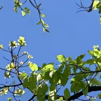 每日一善 🍀阳光信用🍀 每日一善 真正让人变好的选择，过程都不会很舒服。你明