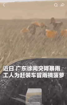 阎肃观察肃言肃语 【席卷多省的暴雨比你想的凶险】南方暴雨或最终影响所有人过去一周