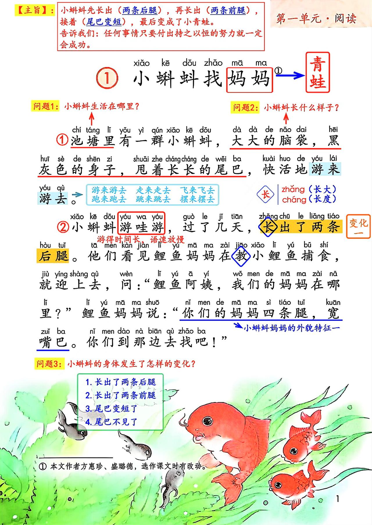 二年级上册语文，第一单元阅读1《小蝌蚪找妈妈》课堂笔记，暑假收藏预习~