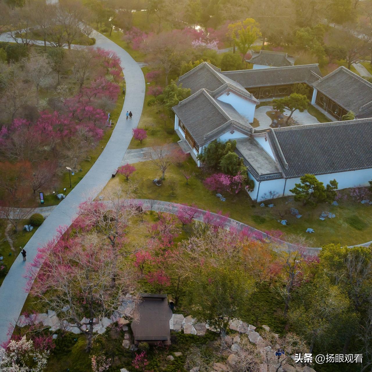 扬州瘦西湖万花园湖上梅林核心区，在梅亭附近，是二十四桥—静香书屋—洛春堂—梅亭一