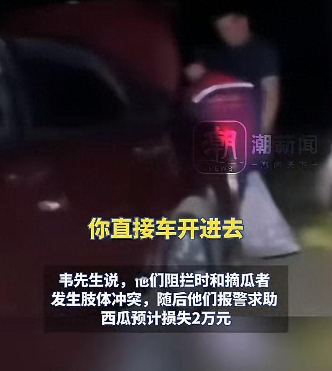 一瓜园遭村民冲入哄抢，预计损失2万元，村干部：村民以为是尾瓜
 
“人太多了，拦