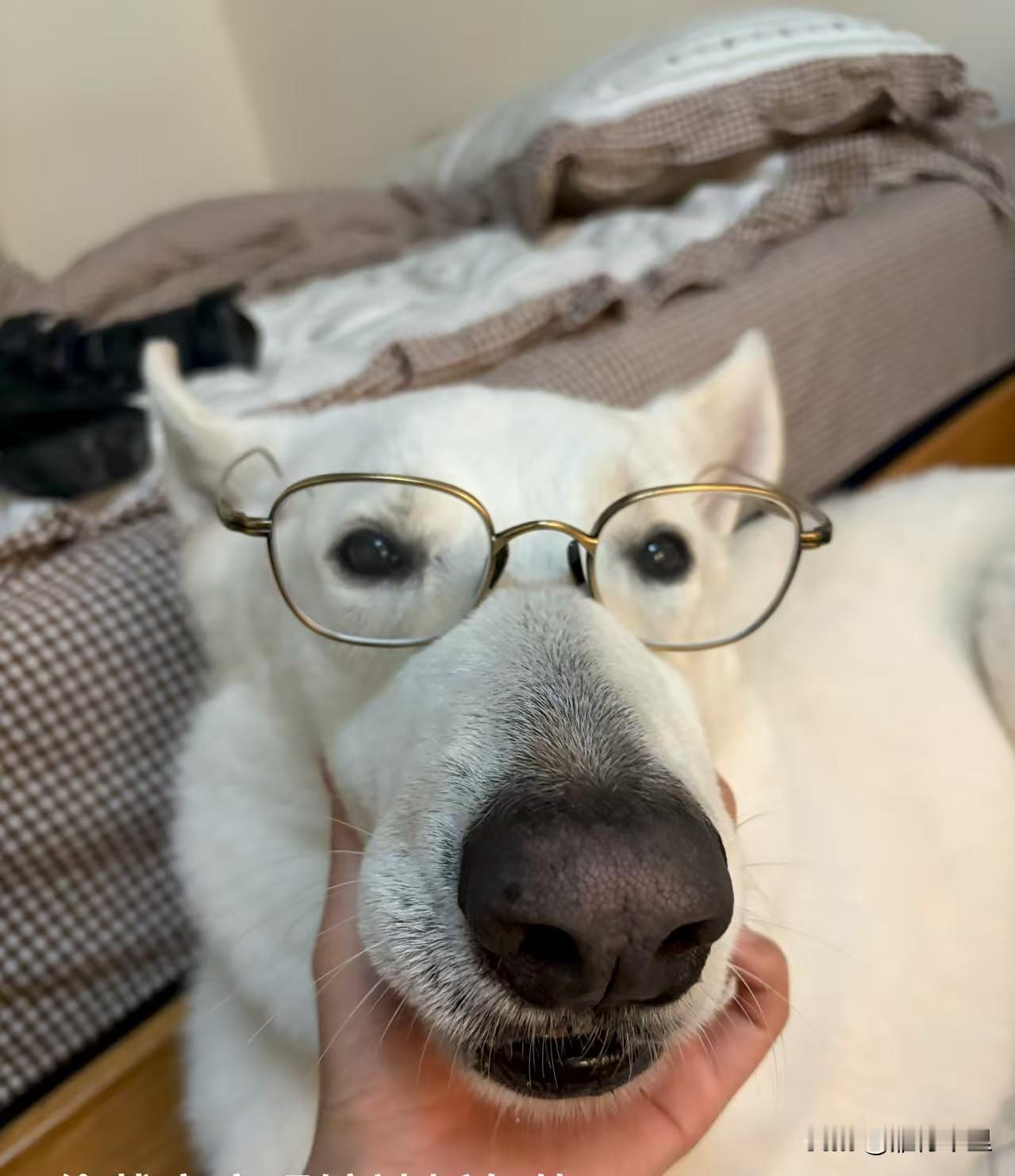 把自己当别人，是无我。
把别人当自己，是慈悲。
把别人当别人，是智慧。
把自己当