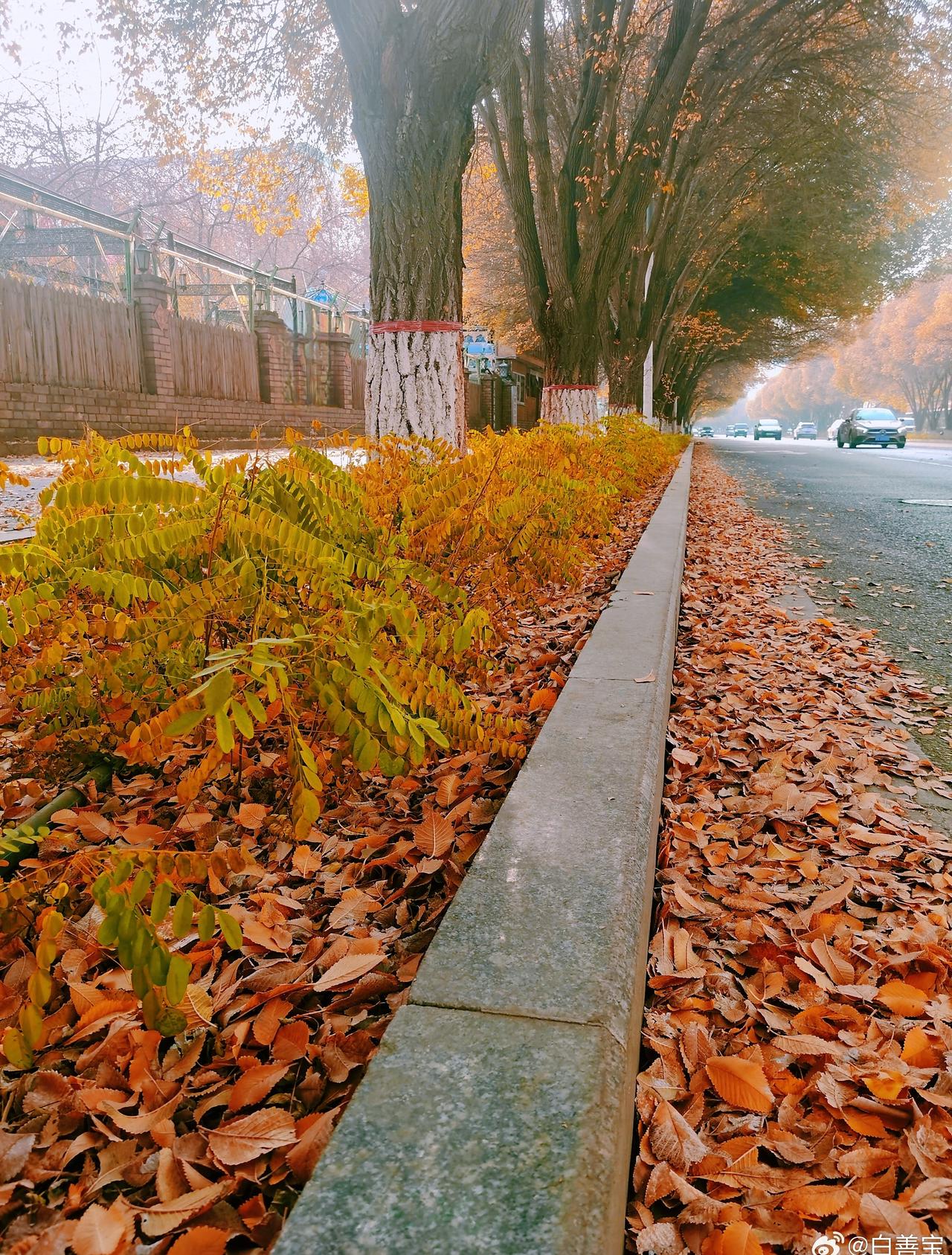 温馨提示：11月5日清晨至6日白天，乌鲁木齐将遇雨夹雪转大到暴雪，伴随明显降温与