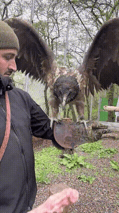 整根吞下去，肠道不卡住吗？[震惊]