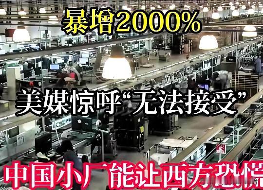 出口暴增2000%！中国“隐形冠军”杀疯了，美国急到施压却拦不住

​​太燃了！
