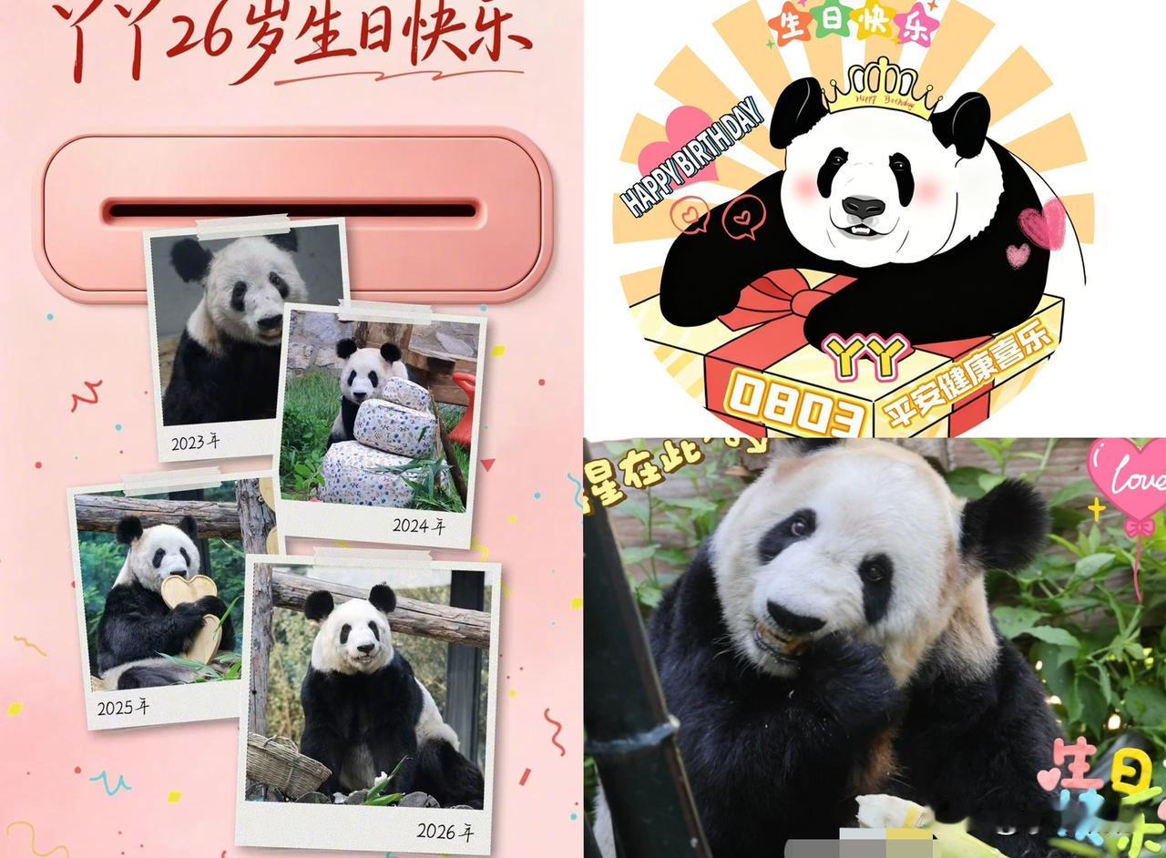 26岁“千禧龙猫”丫丫：从孟菲斯归来三年，凭着95斤的圆润，活成一场“逆生长”的