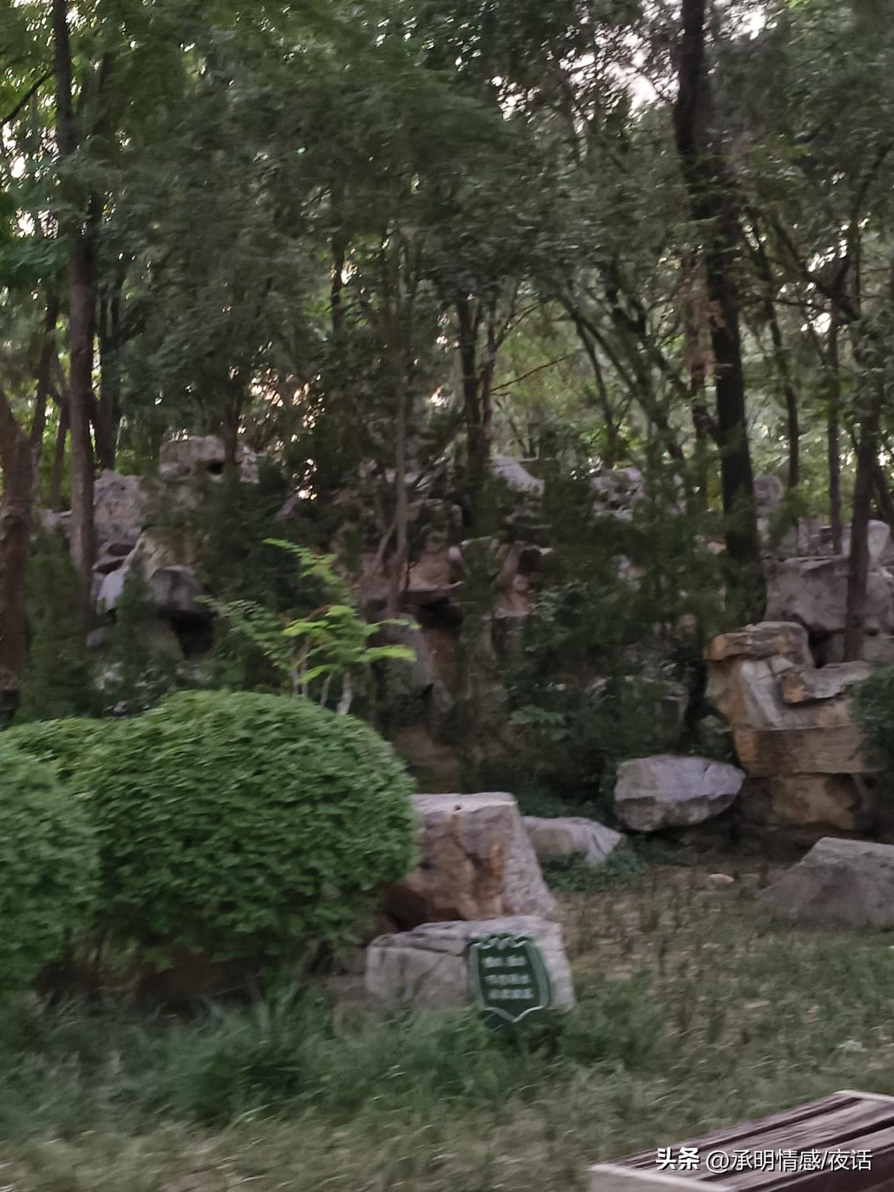 探索森林秘境，感受大自然的宁静与美丽。治愈系森林秘境 森林治愈旅行