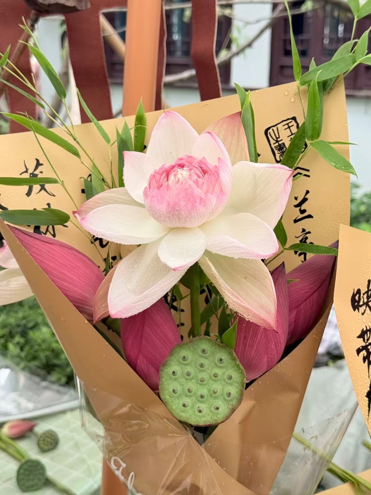 好友桃花坞荷花实拍，荷香袅袅，墨字题墙，姑苏夏日氛围感十足，一眼沦陷江南韵味。 