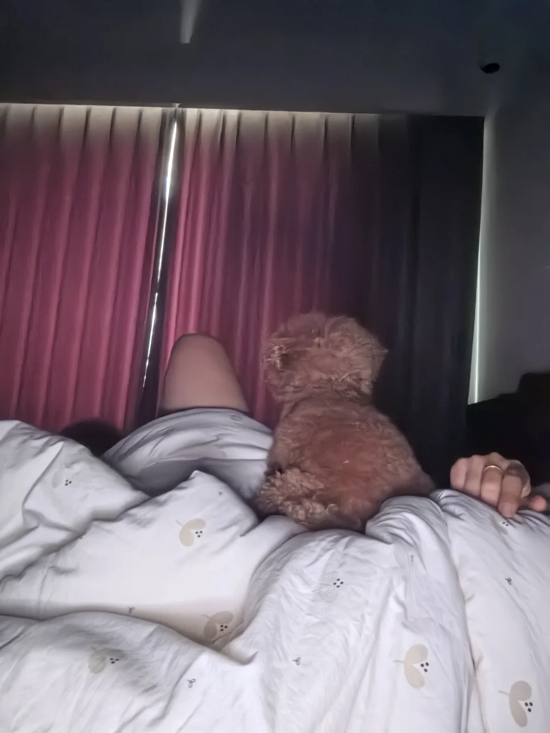 一屁股坐醒你！周末睡懒觉是不可能的