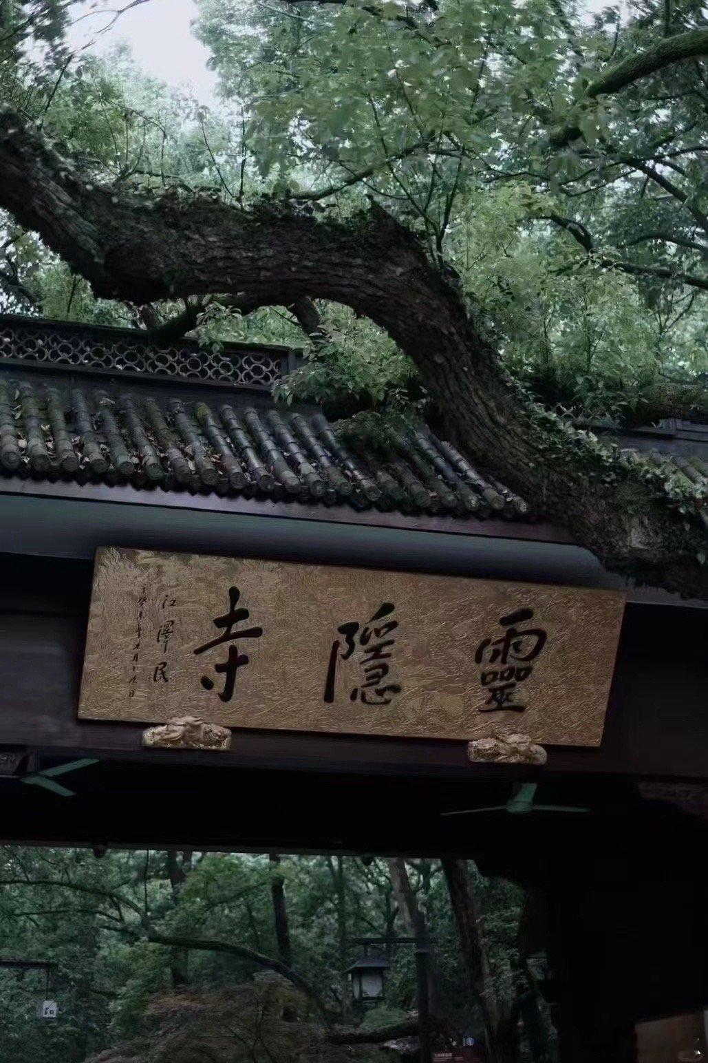 下雨天的灵隐寺🎐 ​​​
