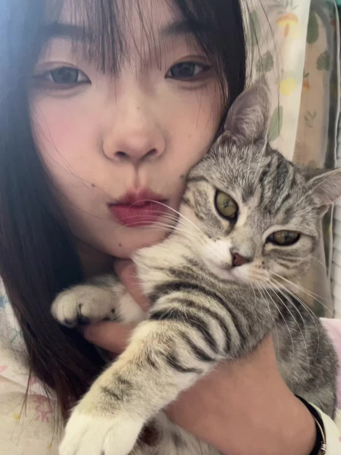 我和我的猫