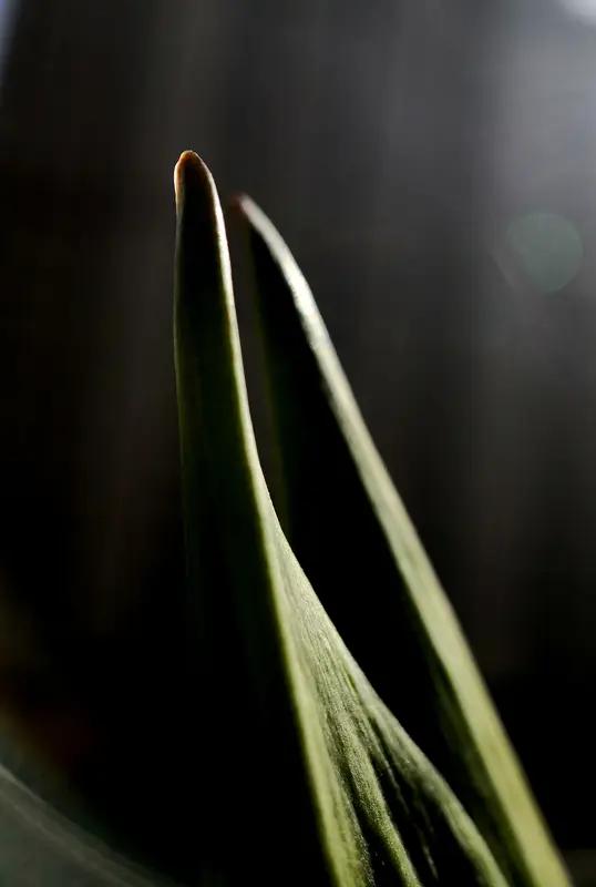 于善良中添些锋芒，为自身保驾护航
岁月悠悠，余生迢迢，我们常被教导要做善良之人。