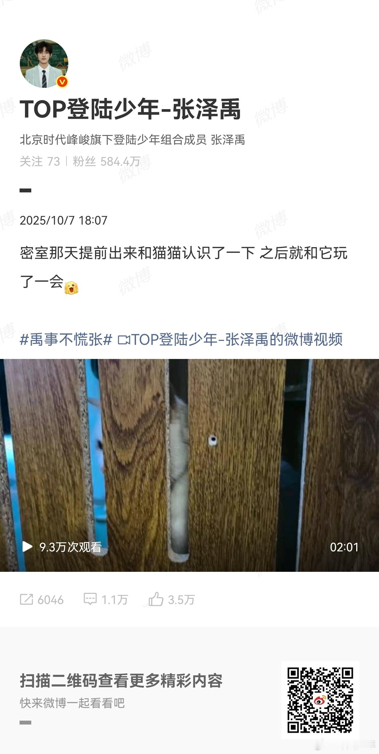 张泽禹和猫玩 张泽禹和猫猫玩耍的画面也太治愈了！温柔互动的样子简直是男友力与可爱
