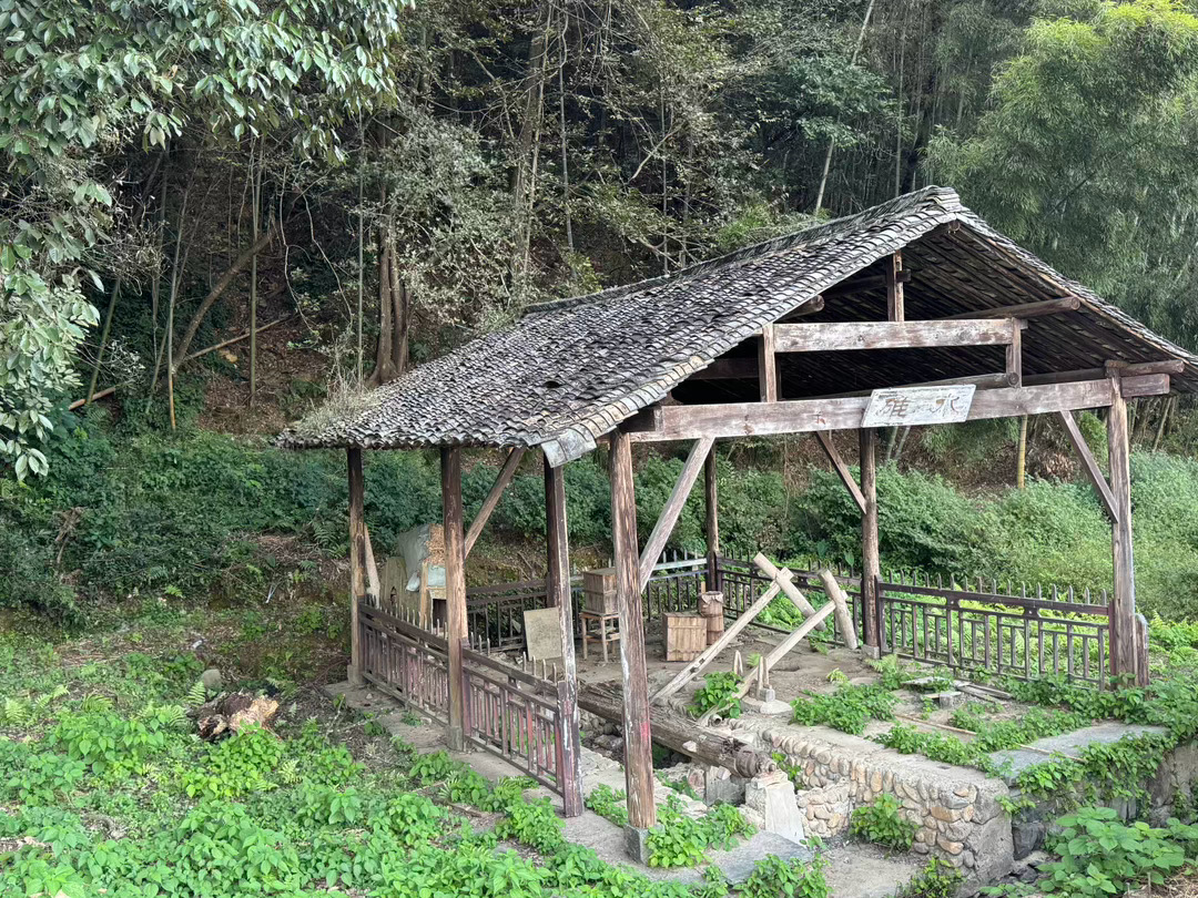 江西婺源，本世纪初全国四大小资背包族集散地之一；“李坑”，自北宋以来就存在的古村