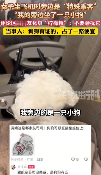 “说出来都没人信！”黑龙江，一女子坐飞机返程，刚上飞机找到座位，空姐就走过来对她