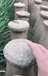 长见识了
韭黄原来是这么种出来的