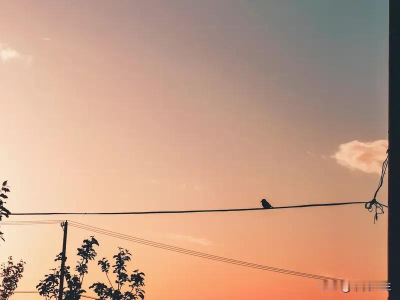 人生哪儿有全如意，
大多都是取舍而已。
很多时候，
不是我们不够努力，
而是生活