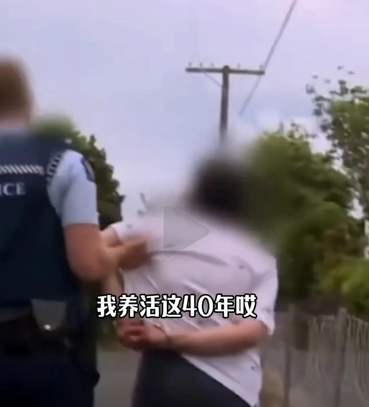 一华人大妈在美帮女儿带混血孩子产生矛盾，女儿报警被警察拷走！
近期，在美国一华人