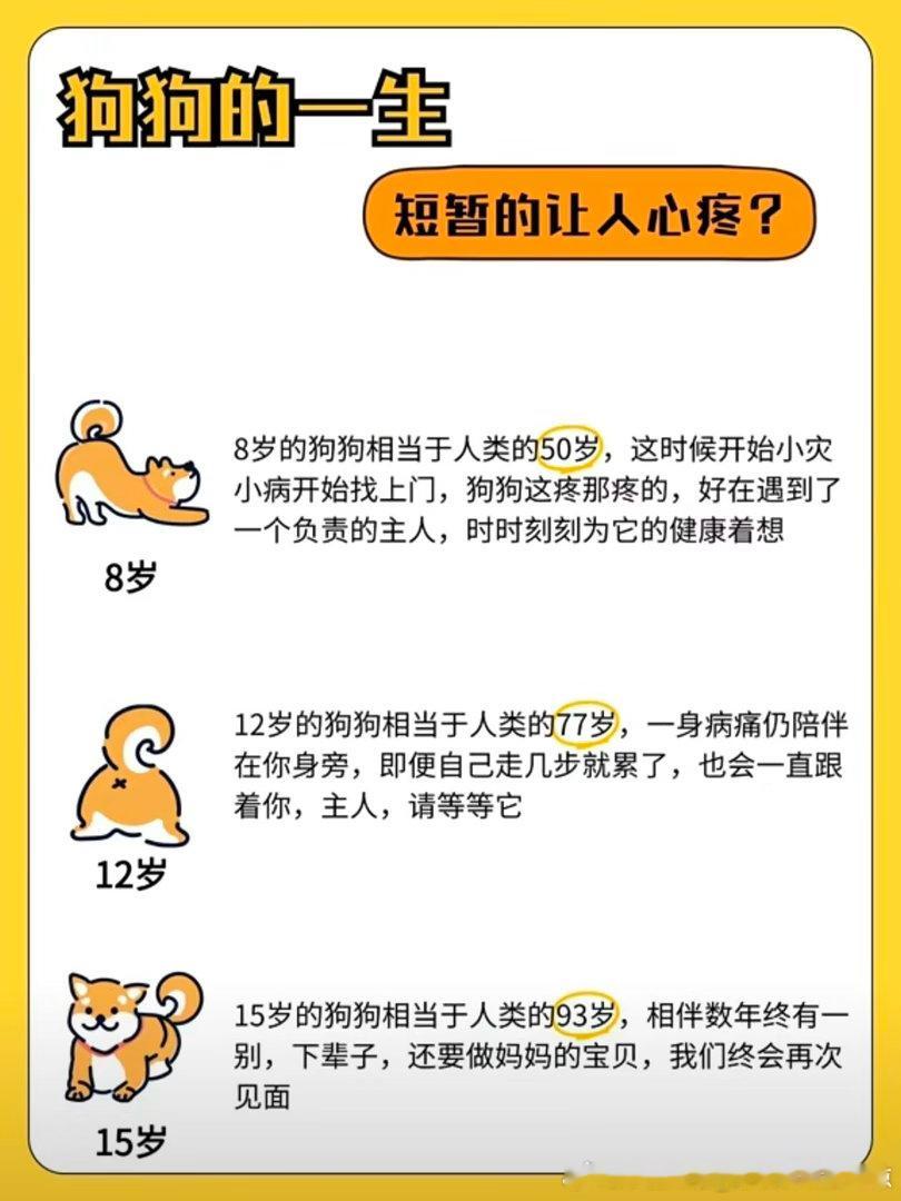 狗狗濒死奔向主人见最后一面狗狗不仅懂离别，它们还知道这一别，再见就是来生！十几年