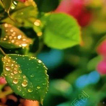 人生无常，得失有常，心态好，得也欢喜，失也不悲，平凡的一天，也要吃得热气腾腾𝙝