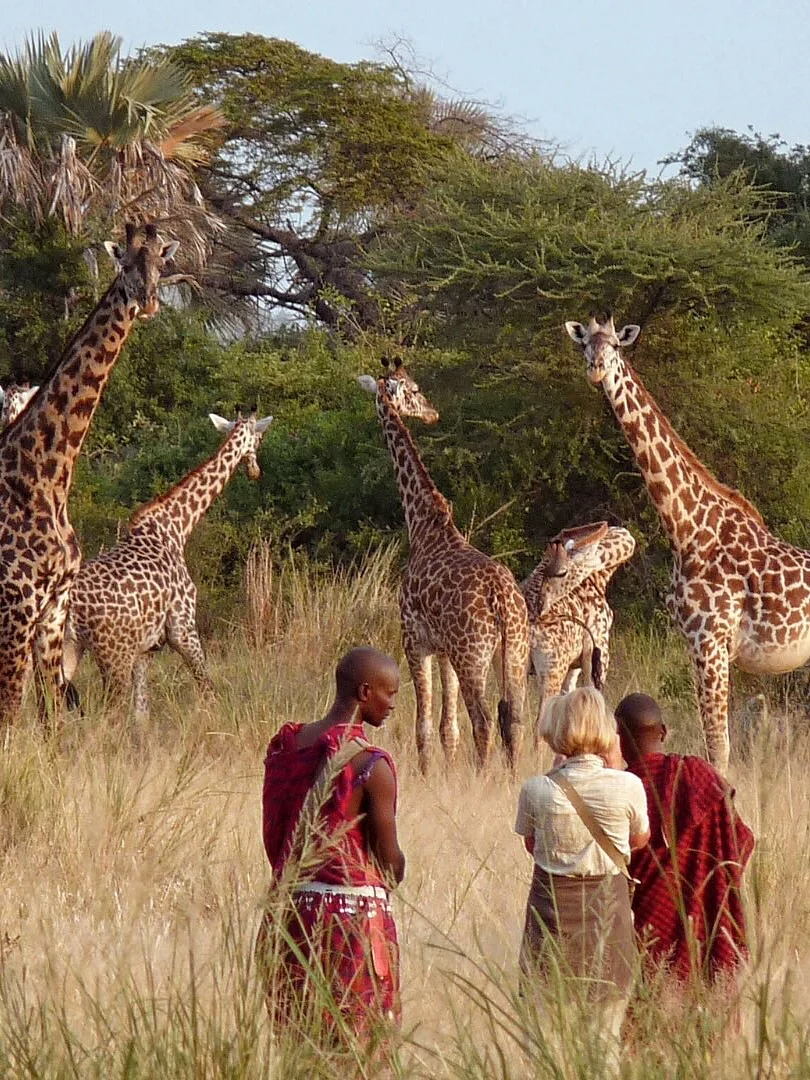 非洲天花板safari！暑期招募…海陆双国游11天