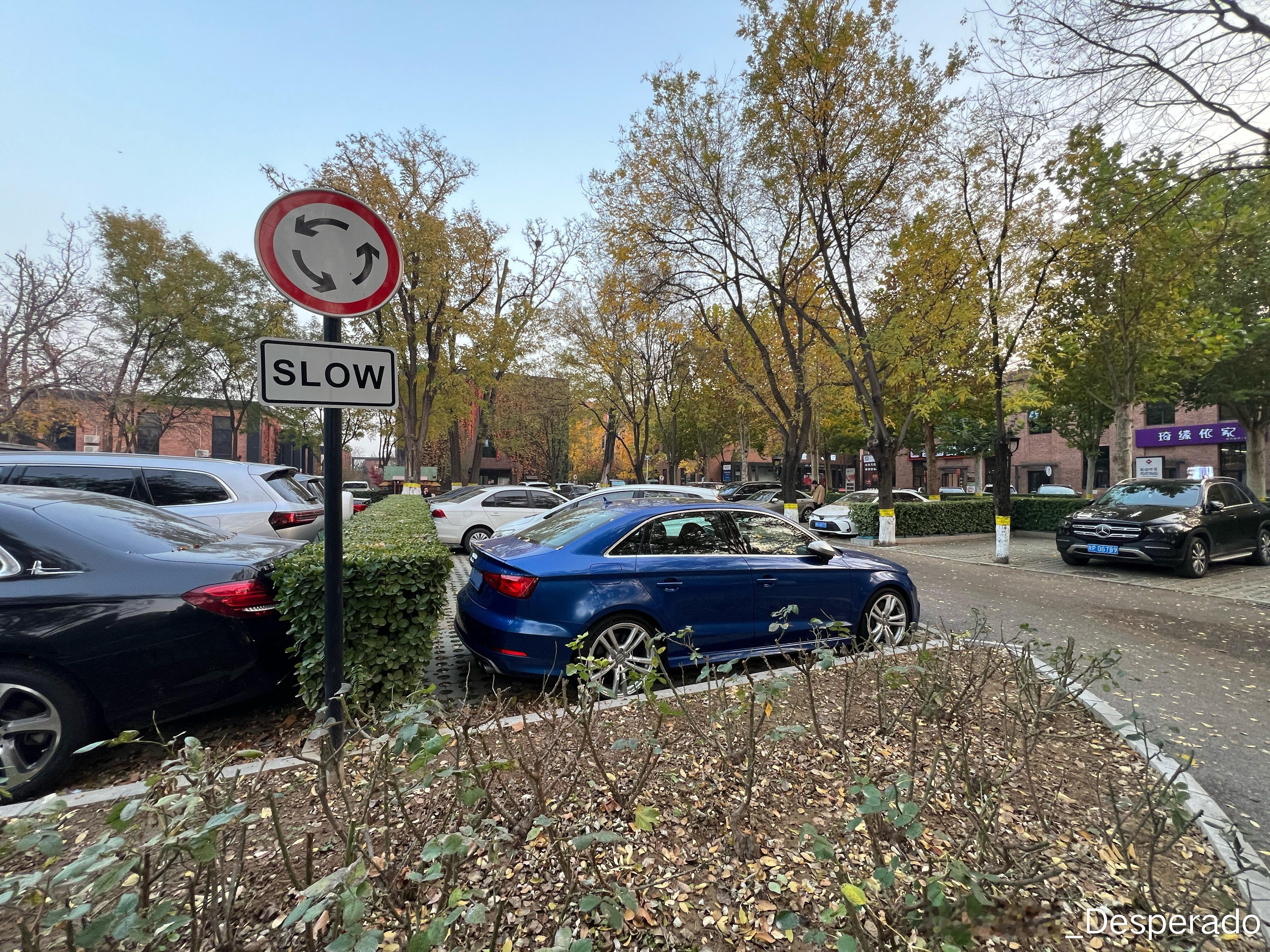 北京的秋天然后再稍微带点儿落叶，好像和德国四驱燃油小汽车儿更配哦。 