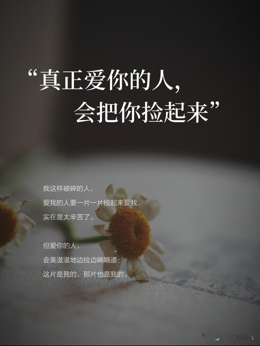 真正爱你的人，会把你捡起来。
 
我这样破碎的人，
爱我的人要一片一片捡起来爱我