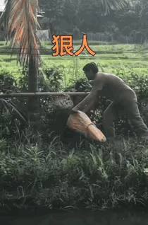 这是我见过最狠的人，走半路还睡着了[捂脸][捂脸]