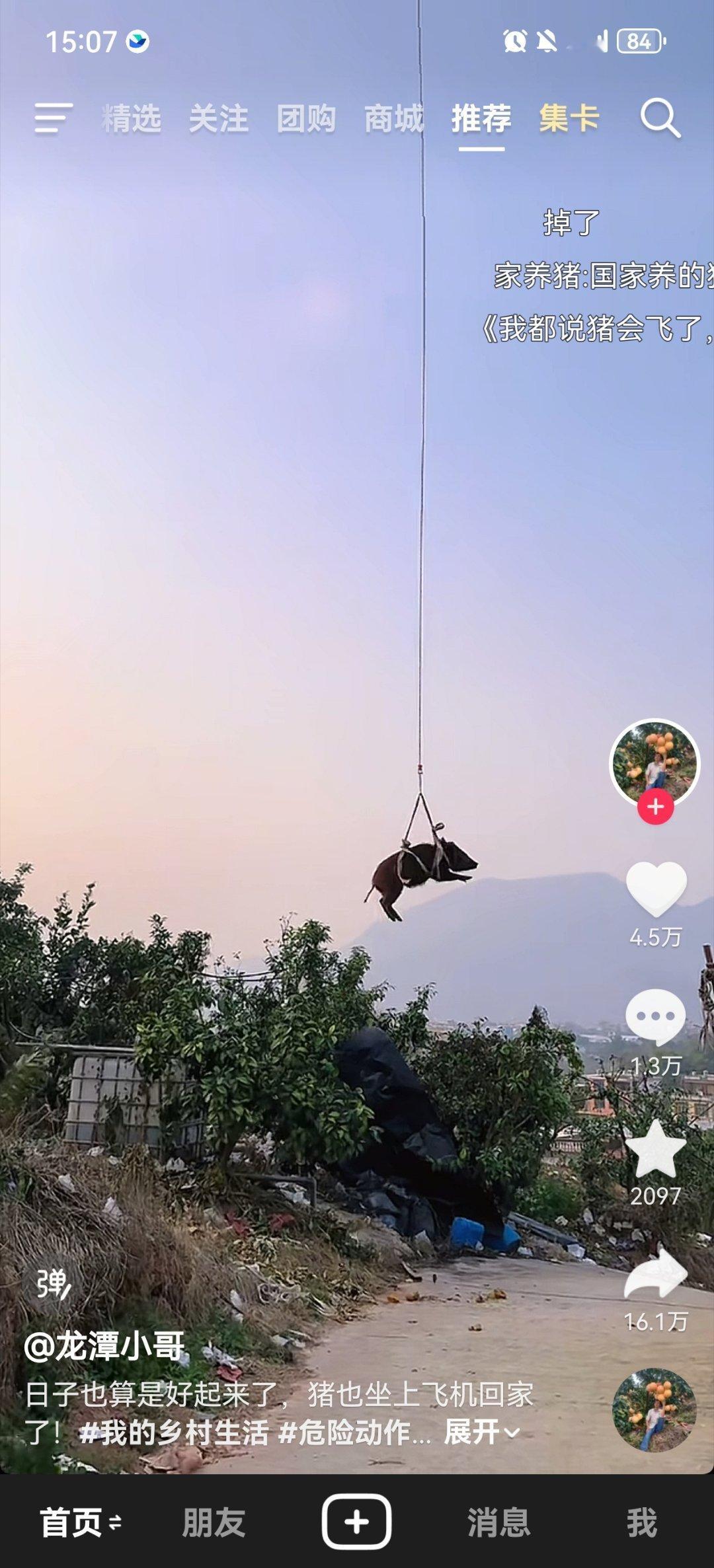 此处艾特菲猪丝