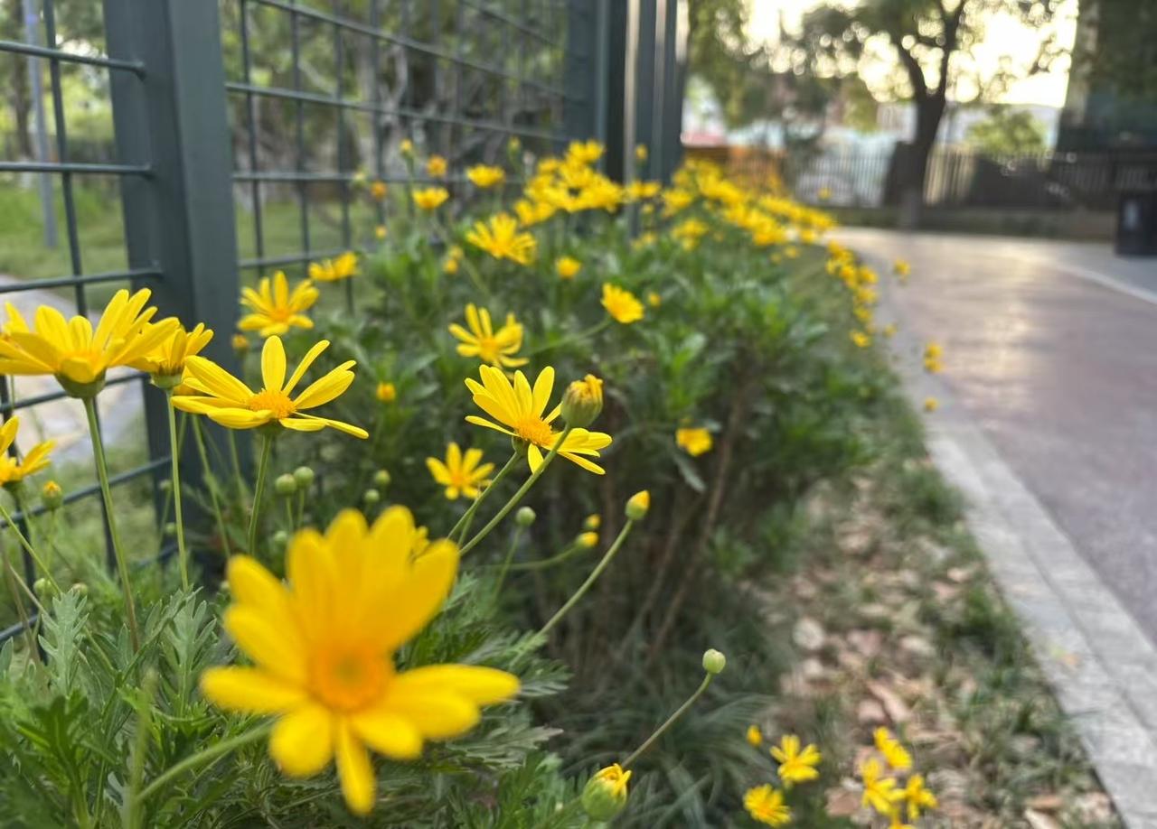大件快递明明可以直接送货上门到需要的那一个地点的 。

 现在快递员都会提前打电
