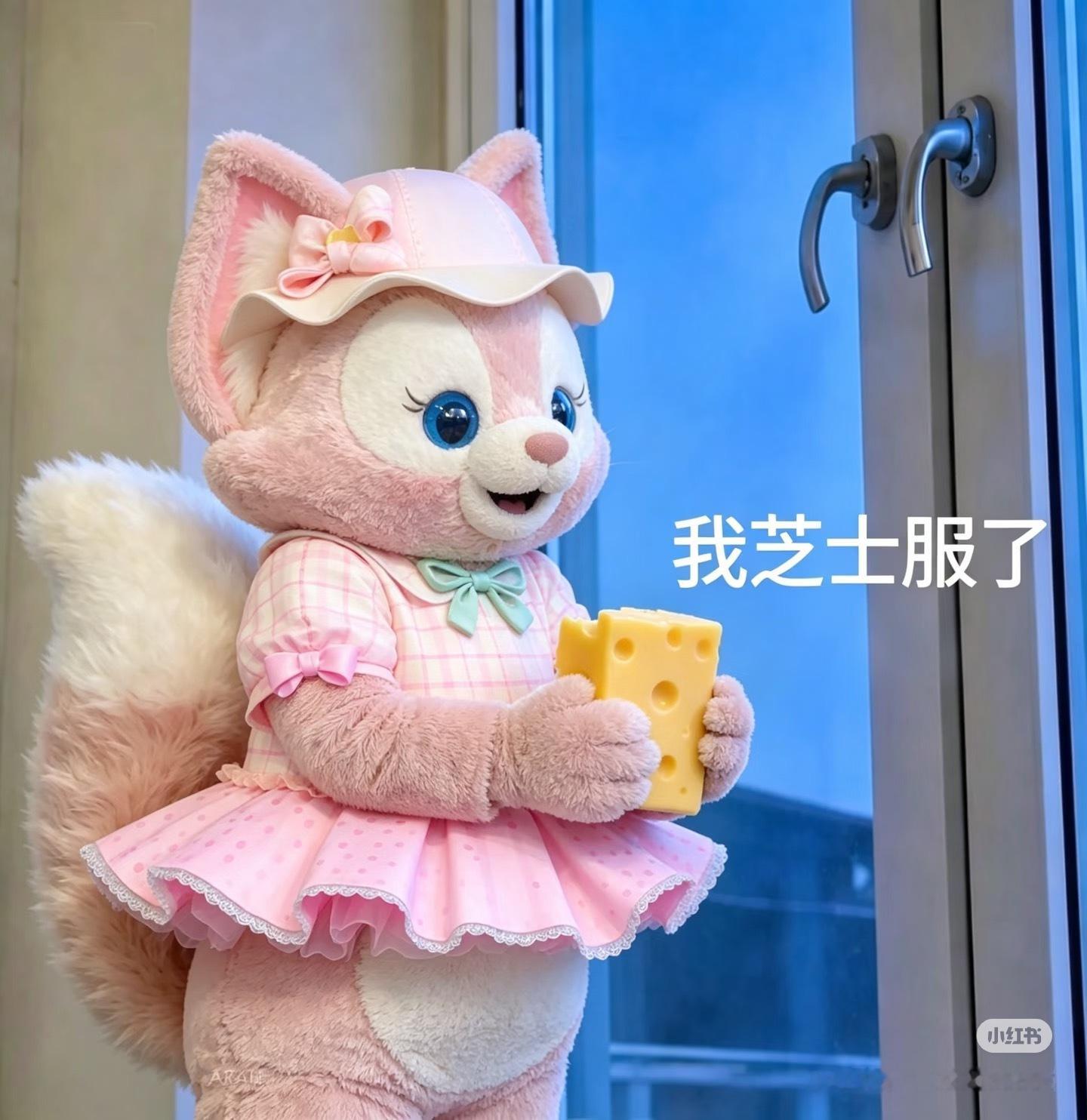 刘冲会选哪个摄影呢 大概许闯刘颂二选一吧 
