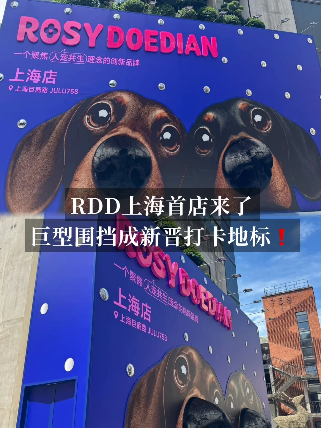 RDD上海首店来了，巨型围挡成新晋打卡地标❗️