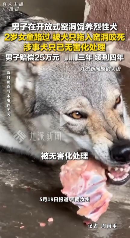 “令人发指！”九派新闻5月19日报道，河南汝州发生了一起让人愤怒不已的悲剧，48