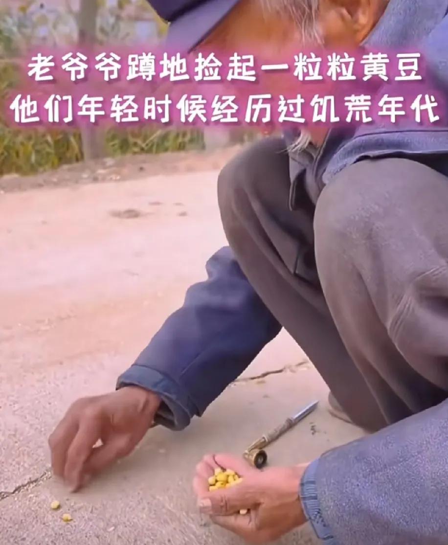 看见爷爷从缝隙里把黄豆挑出来，眼眶热热的！

老一辈人对粮食的珍惜真的是刻在骨子