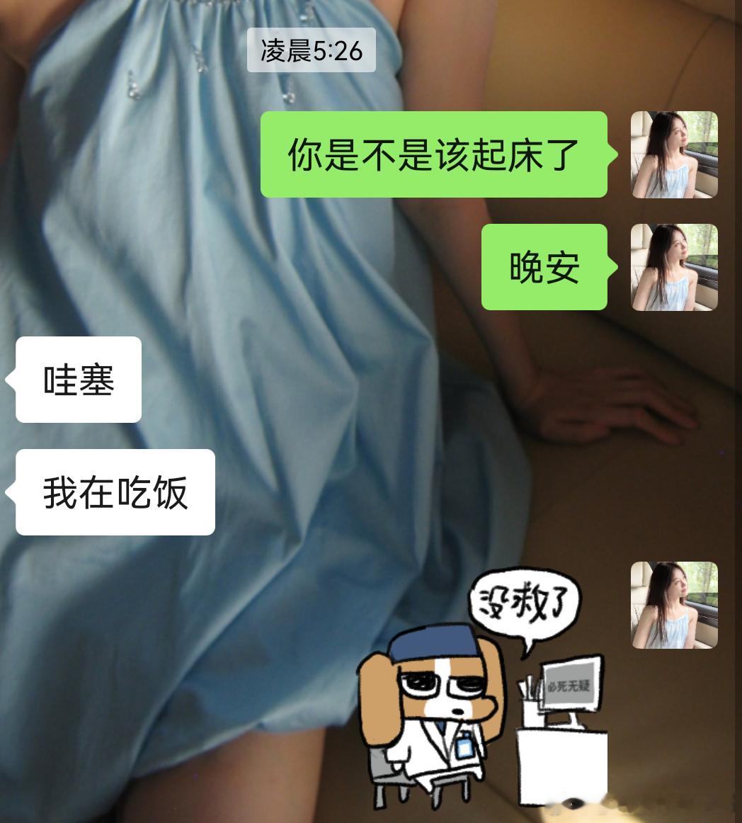 无块曲奇[超话]  已上学的高三牲和未开学的大学生be like： 