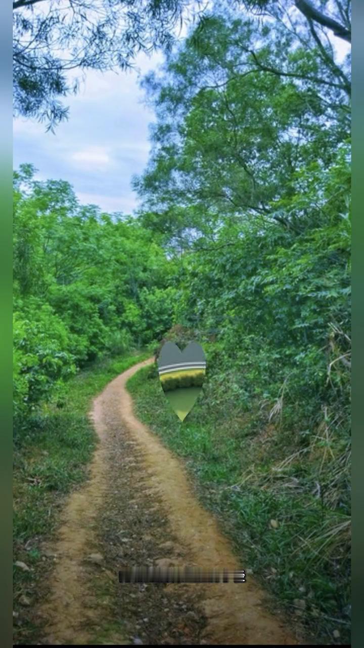 心灵悟语。
有些路走下去会很苦很累，但是不走会后悔。站在人生的岔路口，向左是安逸