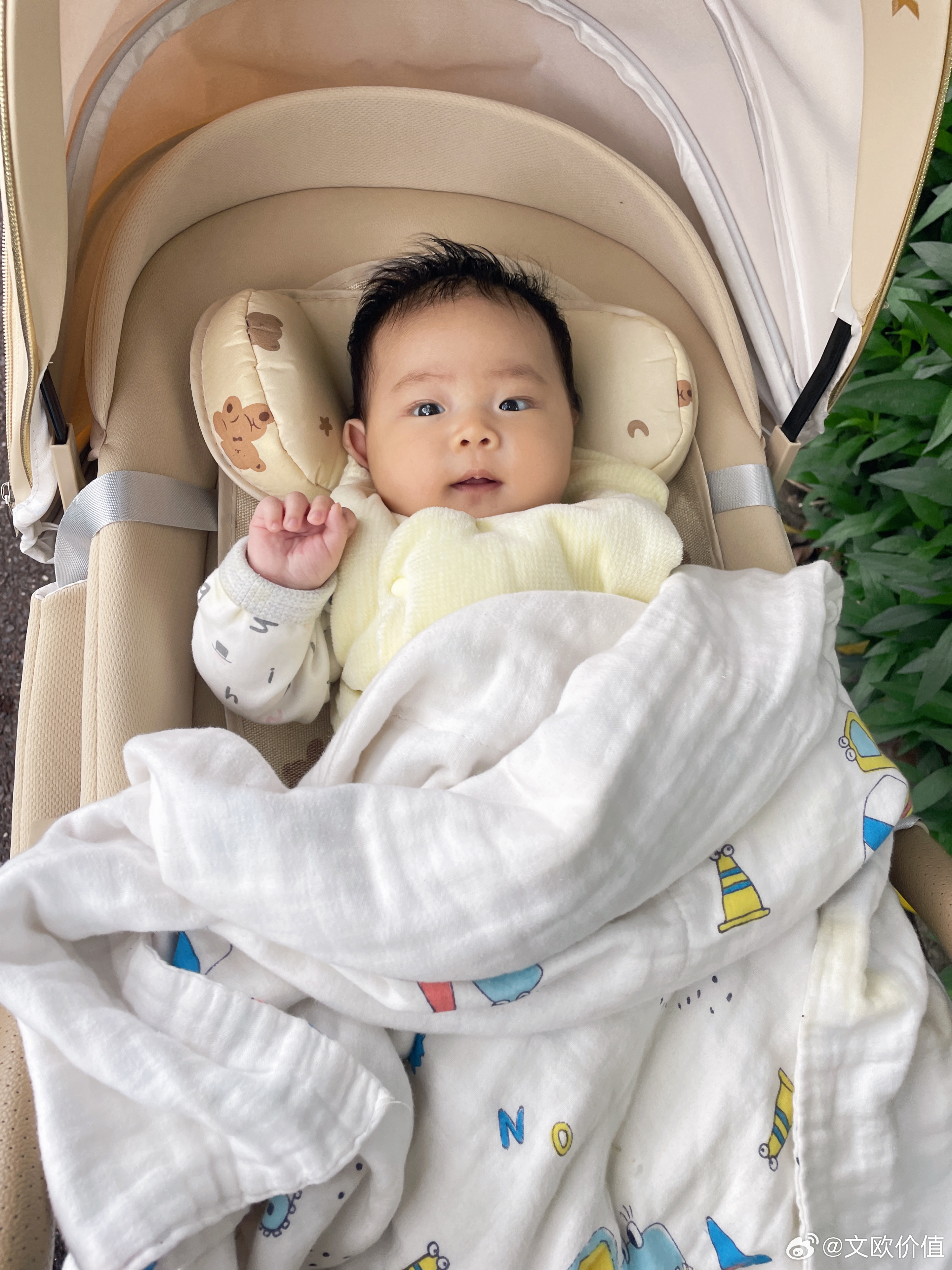 油价大涨，市场又跌了，金毛跟伊朗反复无常的口嗨。这盘没啥可看的，关键是要抓住公司